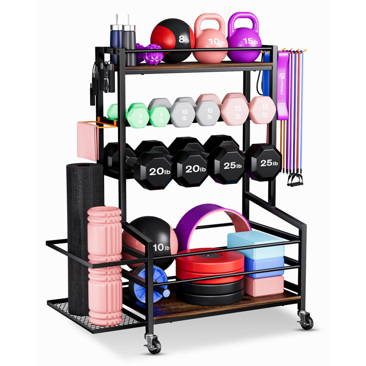 Wayfair cheap dumbbell rack